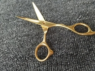 Stainless Steel Barber Scissors PVD Coating System